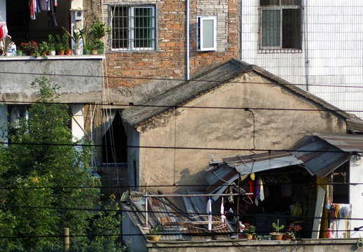 IMGP2193.JPG