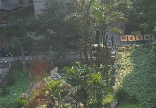 IMGP2227.JPG