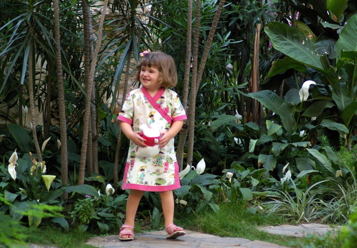 IMGP2256.JPG