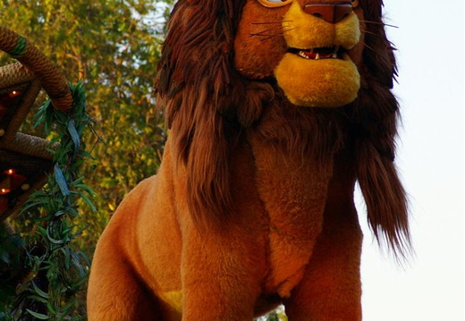 king of jungle