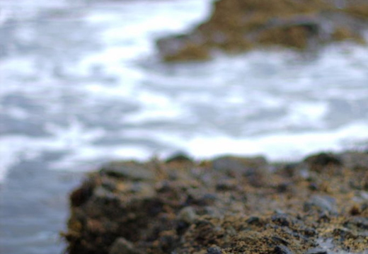 shaw's cove