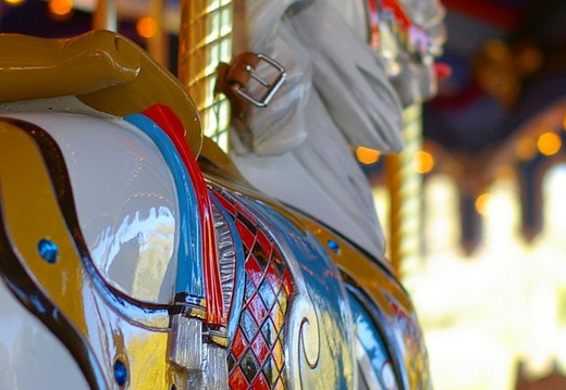 carousel at disneyland