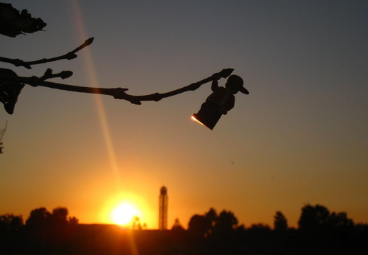 lego on a limb
