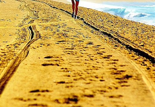 newport beach