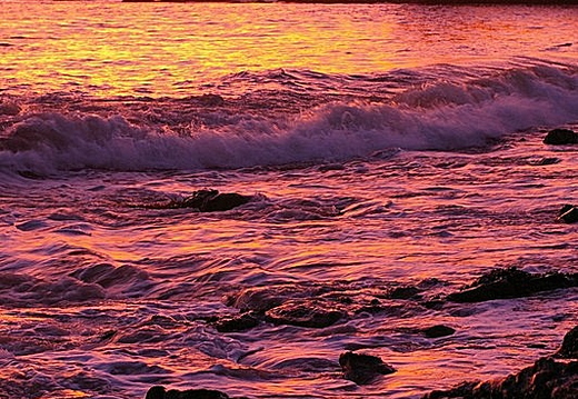 shaw's cove