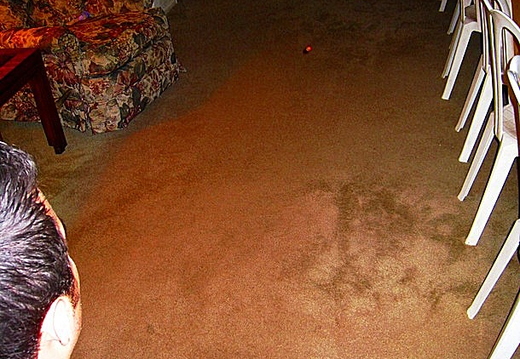nut toss