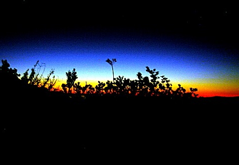 sunset laguna