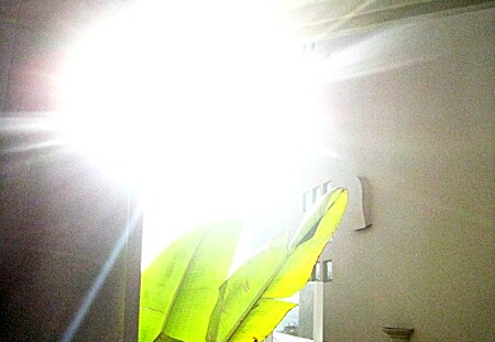 sun blast