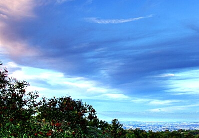 view from trail - rolling hills estates - hdr