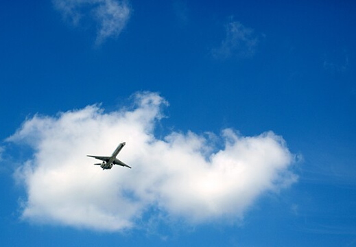 a jonathan passenger shot