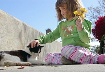 hannah and kitteh - balboa island