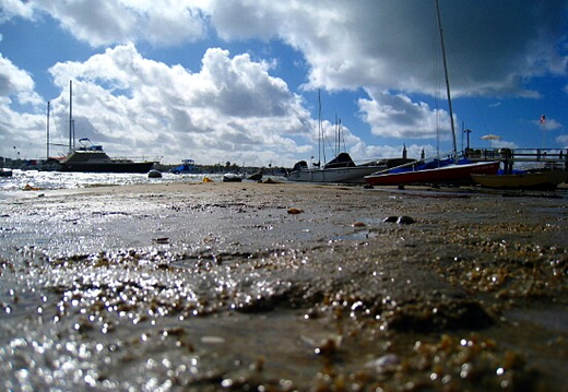 balboa island