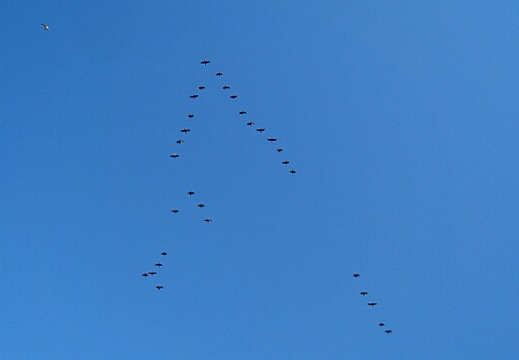 shot through sunroof from fast lane on 405 freeway