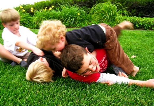 the wrestlers