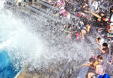shamu at sea world