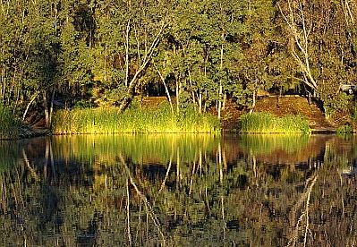 laguna niguel lake