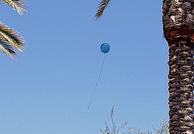 irvine spectrum