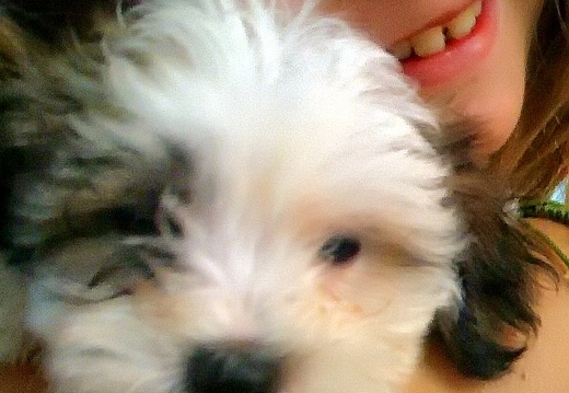 teddy when we first got him - 5/14/09