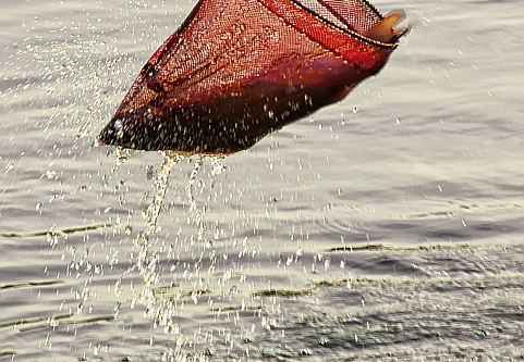 laguna niguel lake