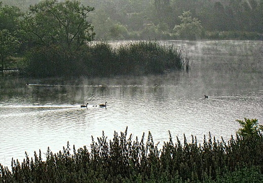 laguna niguel lake