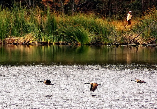 laguna niguel lake