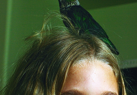 guaco and abigail
