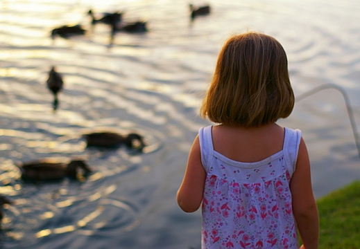 feeding ducks