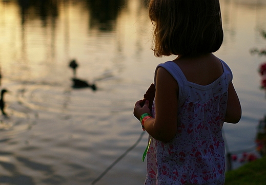 feeding ducks