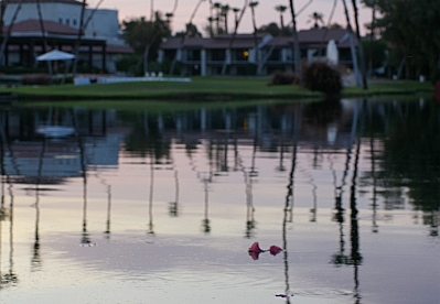 rancho las palmas resort in rancho mirage ca