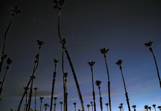 rancho las palmas resort in rancho mirage ca