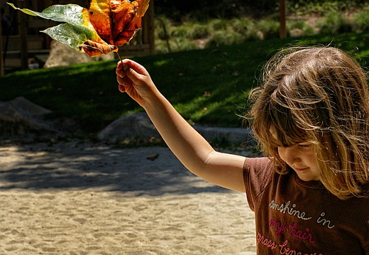 raising the leaf