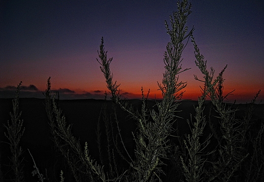 laguna canyon
