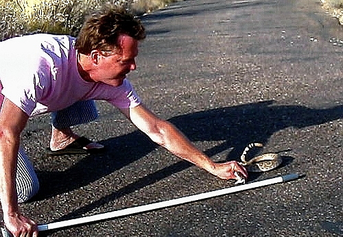 snake wrangler