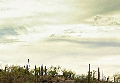 carefree arizona