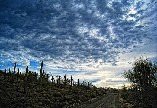 carefree arizona