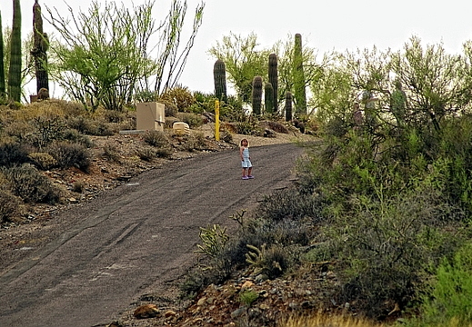 carefree arizona
