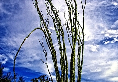 carefree arizona 