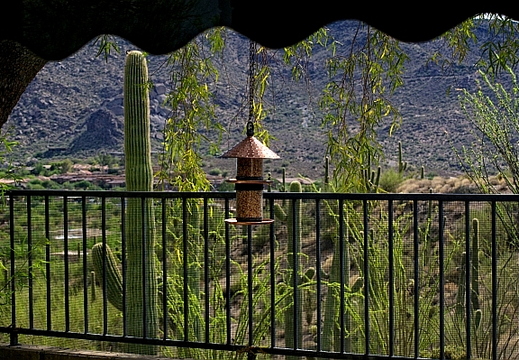 carefree arizona 