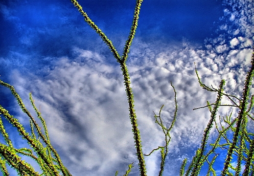 carefree arizona hdr