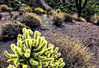 carefree arizona hdr