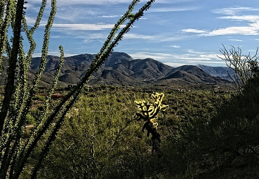 carefree arizona 
