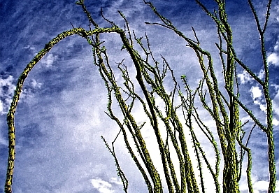 carefree arizona 