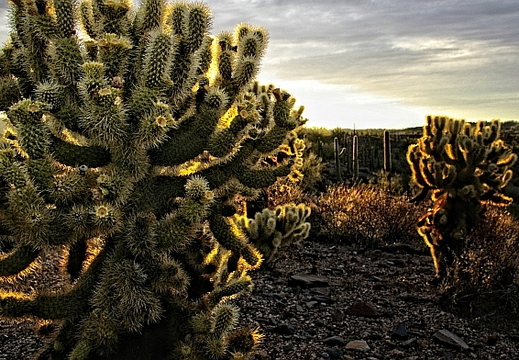 carefree arizona hdr