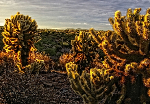 carefree arizona hdr