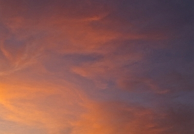 palm desert
