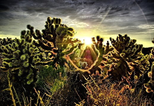 carefree arizona hdr