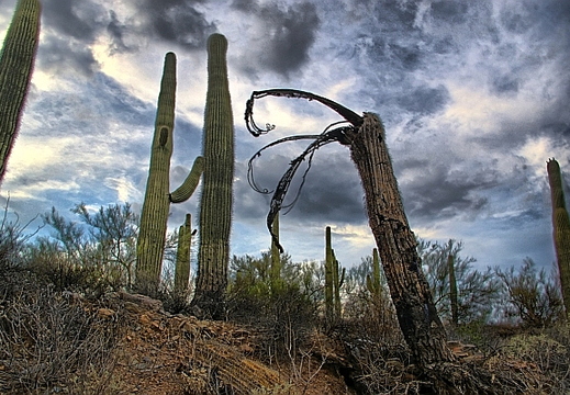 carefree arizona hdr