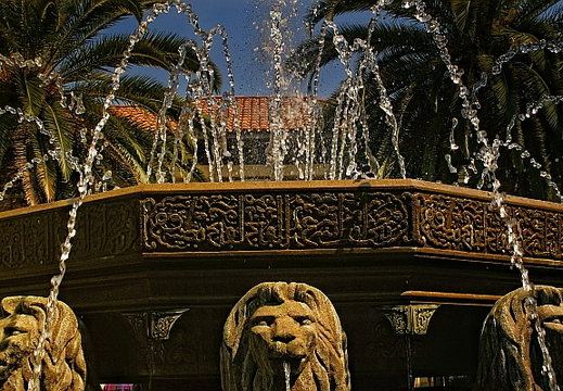 irvine spectrum