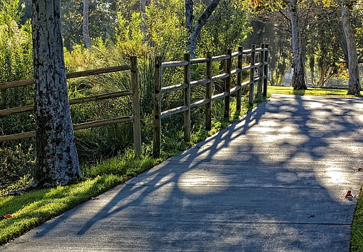 park