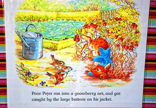 peter rabbit - l.a. county fair
